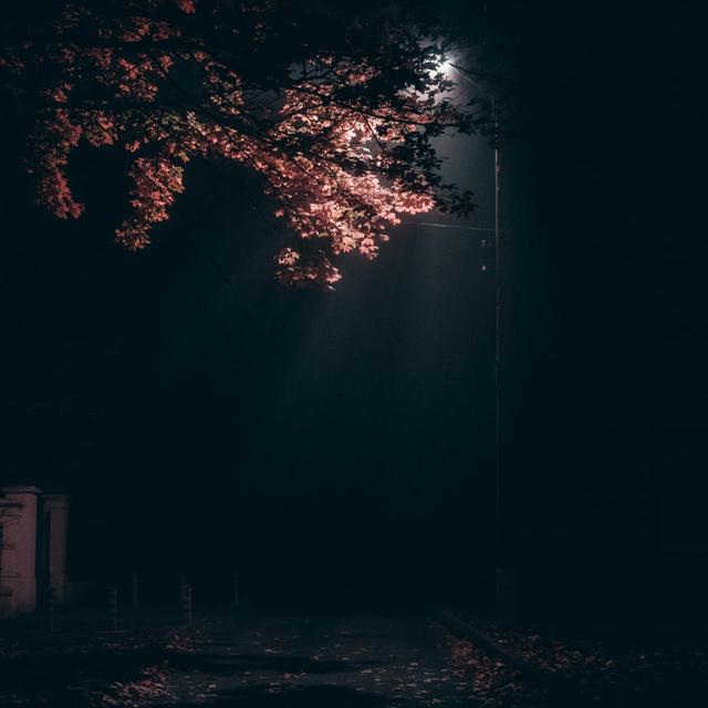 The Long Weekend - podcast episode cover