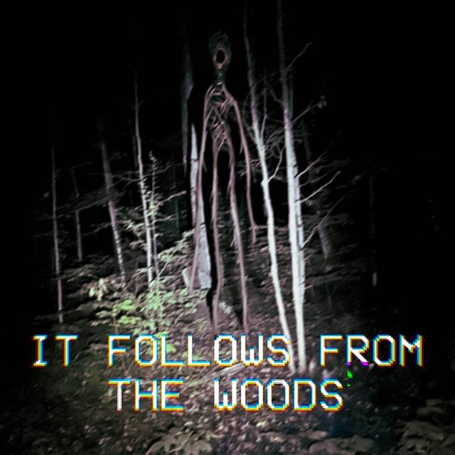 It Follows From the Woods - podcast episode cover