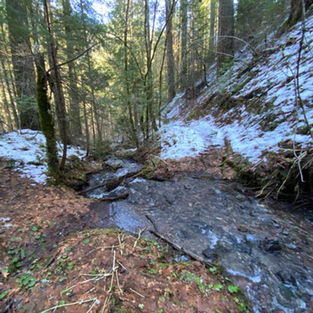 124: Binaural Nature Walk- Winter On The Pacific Crest Trail- Butcherknife Creek To Water Strider Creek - podcast episode cover