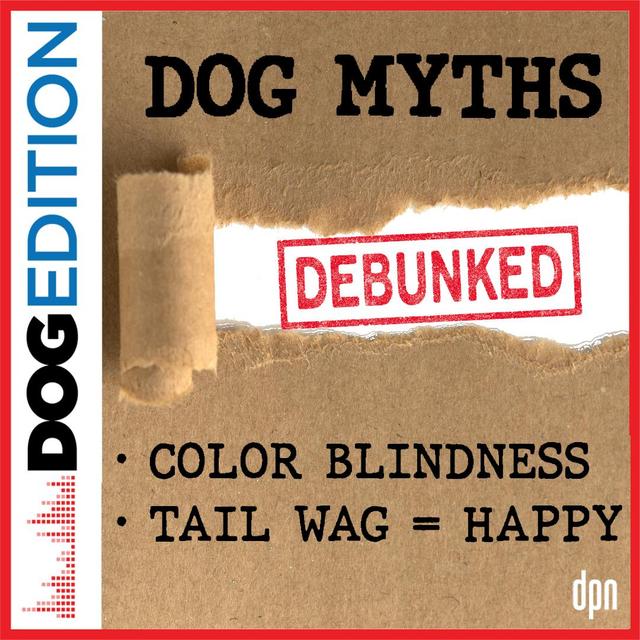 Dog Myths Debunked | Dog Edition #61 - podcast episode cover