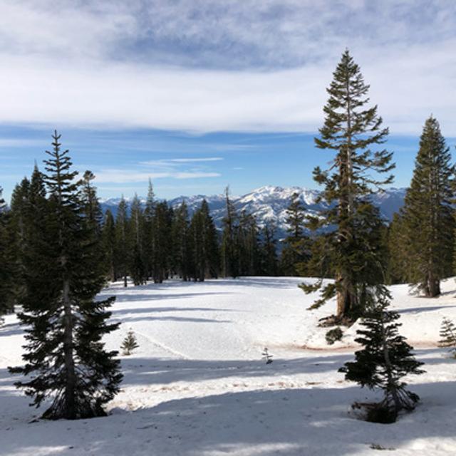 Episode 93: Mount Shasta- Windy Winter Day - podcast episode cover