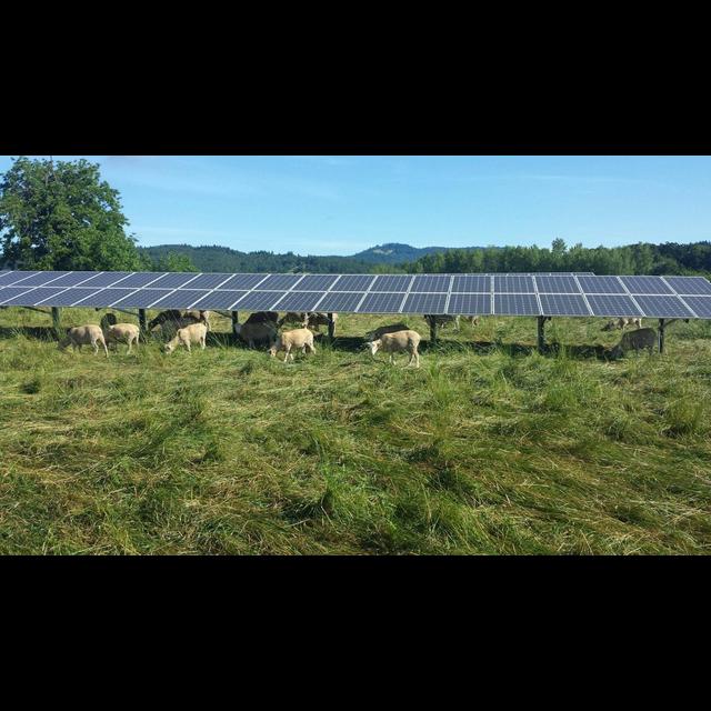 Farmland Is Also Optimal for Solar Power - podcast episode cover