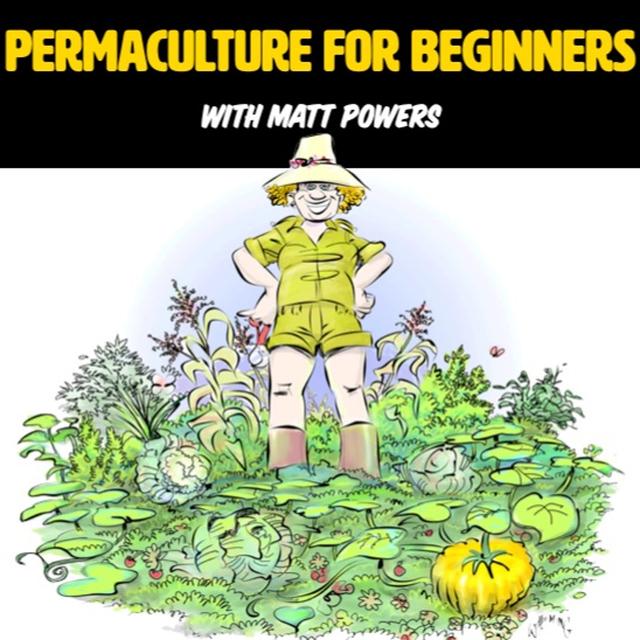 Permaculture For Beginners [Full Webinar] - podcast episode cover