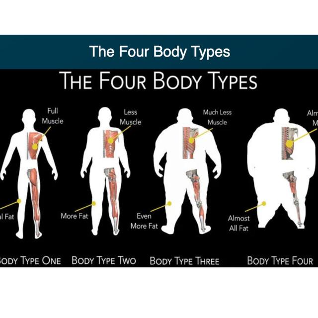 Body Type Science - podcast episode cover