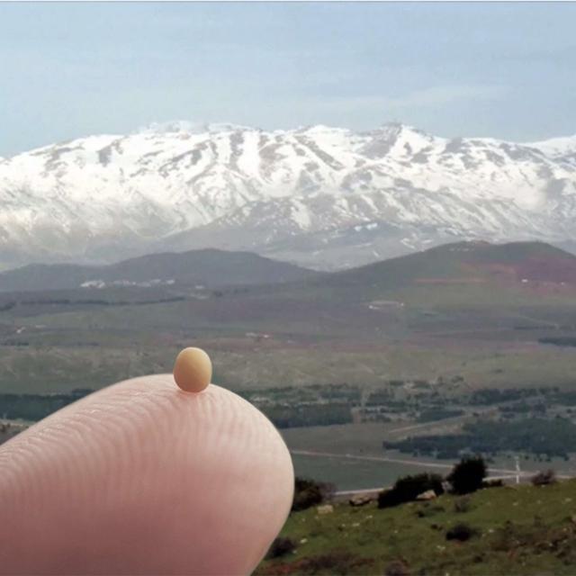 How to Move a Mountain with a Mustard Seed - podcast episode cover