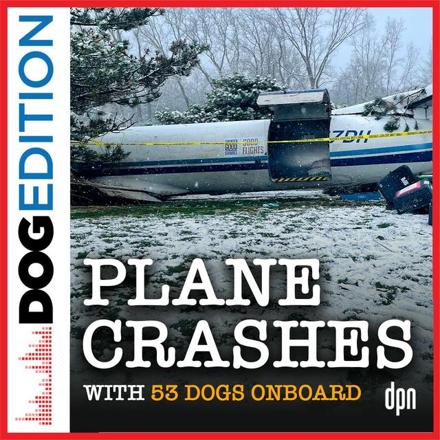 Plane Crashes with 53 Dogs Onboard | Dog Edition #89 - podcast episode cover