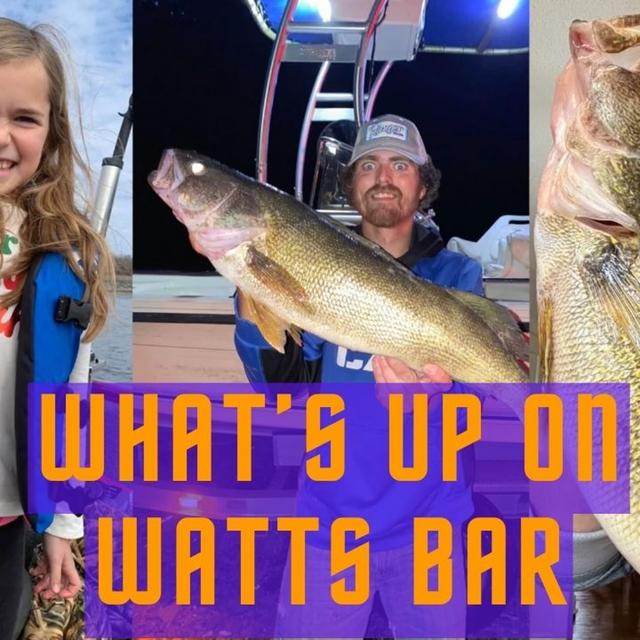 TW 390 - What’s Up On Watts Bar? - podcast episode cover