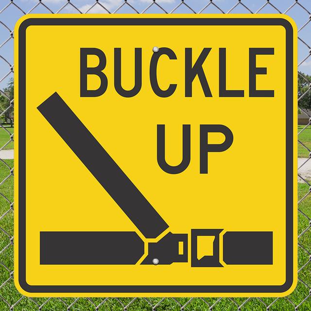 S5 Ep60: Minisode 60: Seat Belt Laws - podcast episode cover