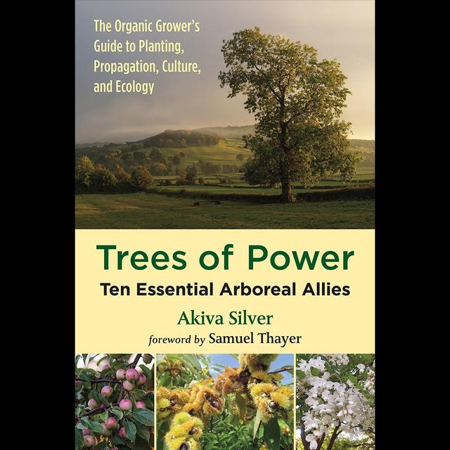 Trees of Power - podcast episode cover