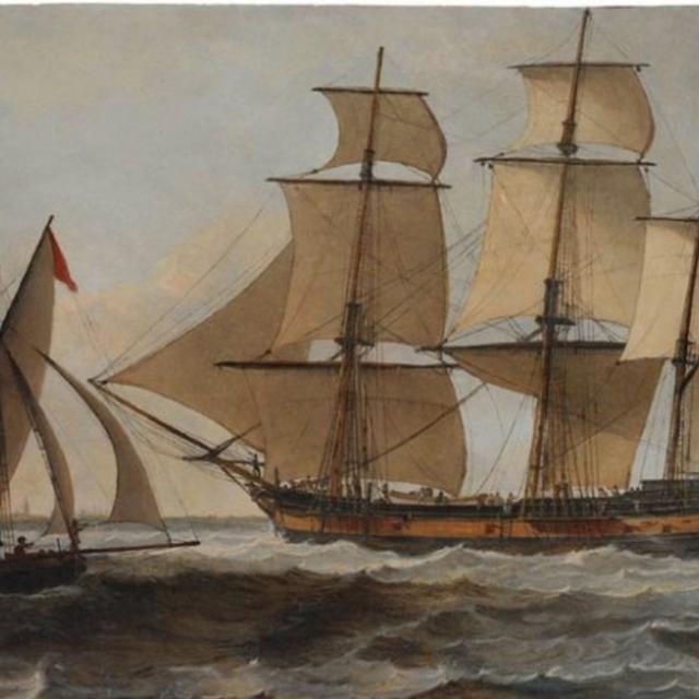 378 - The Sydney Cove Shipwreck - (Live w Nick Cody) - podcast episode cover