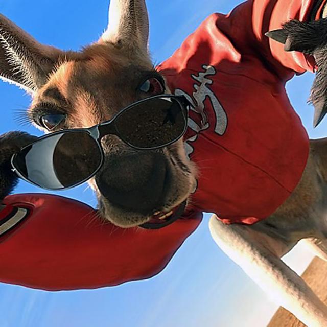 Episode #176 - Kangaroo Jack - podcast episode cover