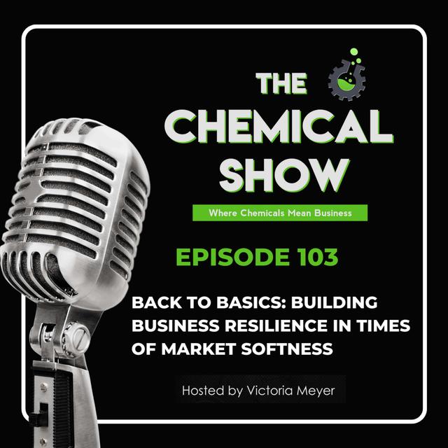 Back to Basics: Building Business Resilience in Times of Market Softness - Ep. 103 - podcast episode cover
