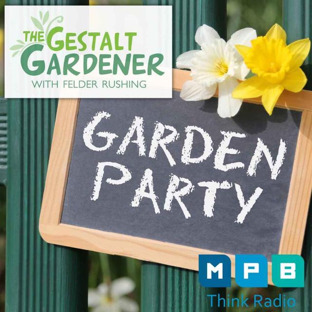 The Gestalt Gardener | Thanks for 300K+ Downloads! - podcast episode cover