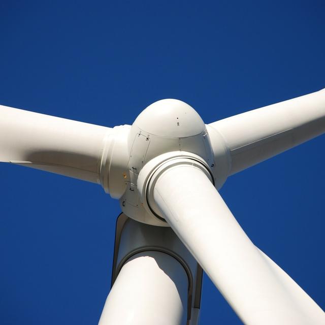 PODCAST: New wind turbines are for the birds - podcast episode cover