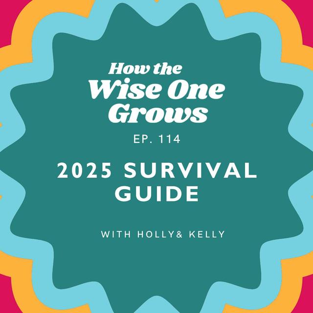 Surviving 2025: Emotional Go-Bags, Evolving Together, and Finding Joy in Challenging Times (114) - podcast episode cover