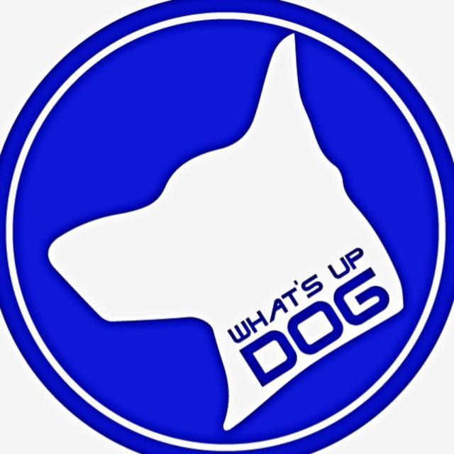 Unleash Your Inner Dog : Leadership through proper feeding. - podcast episode cover