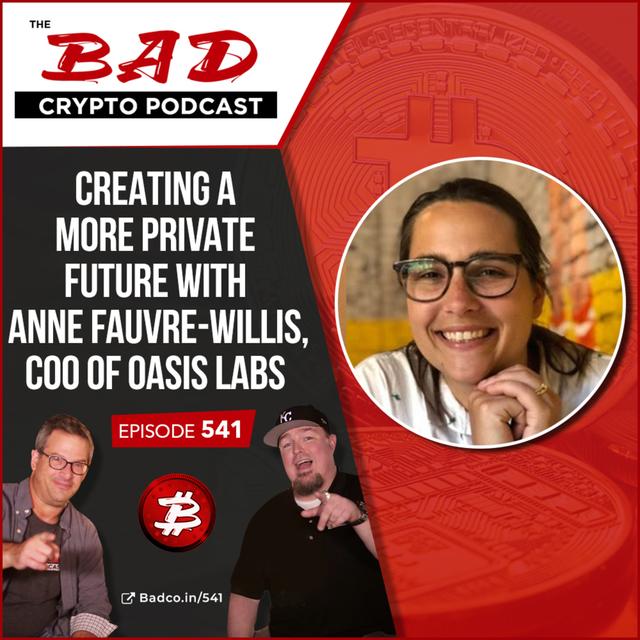 Creating a More Private Future with Anne Fauvre-Willis, COO of Oasis Lab - podcast episode cover