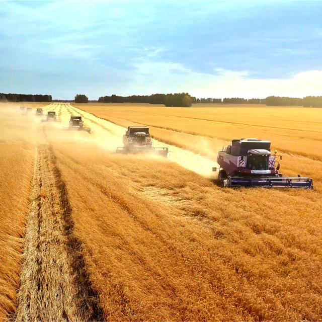 Commodities in 2021… and the Impact on Food Companies - podcast episode cover