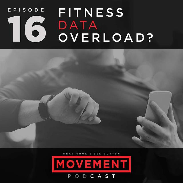 Fitness Data Overload? - podcast episode cover
