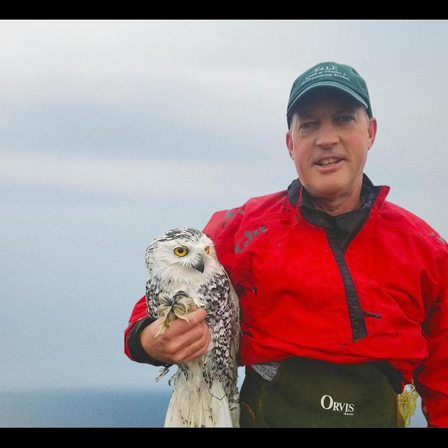 A Whaler at Twilight with Conservationist Alexander Brash - podcast episode cover