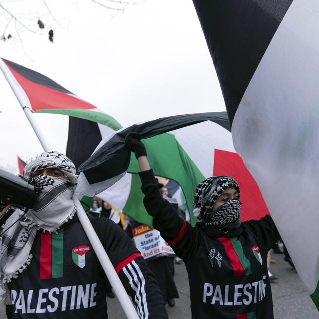 What Matters Now to Haviv Rettig Gur: Campus antisemitism makes new Zionists - podcast episode cover