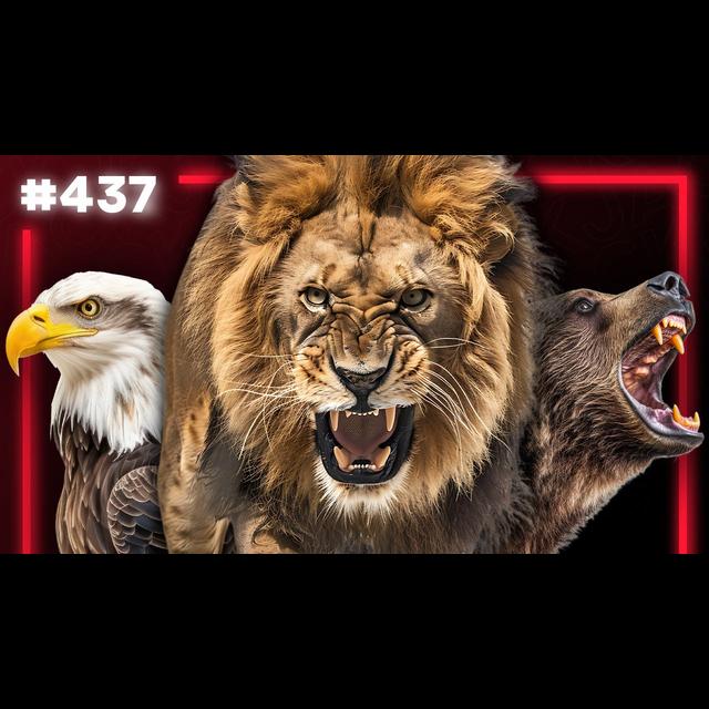 437: Beating the Gorilla | The Official Podcast - podcast episode cover