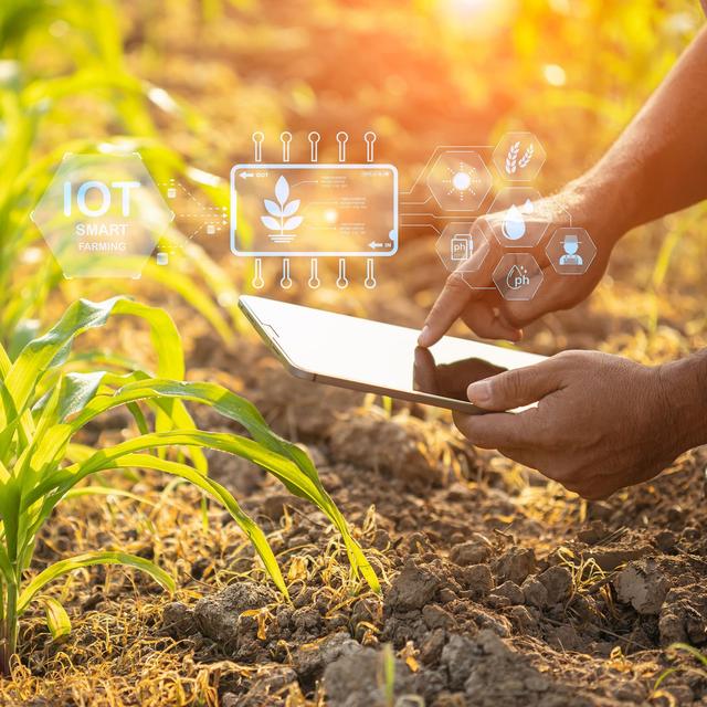 Farm workers head back to school to upskill in agtech - podcast episode cover