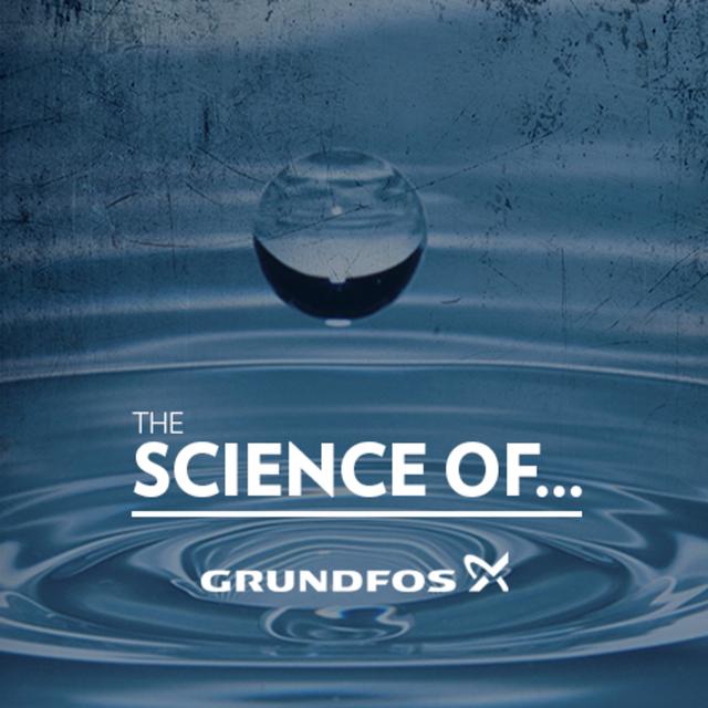 The Science Of Chicken Genetics - podcast episode cover