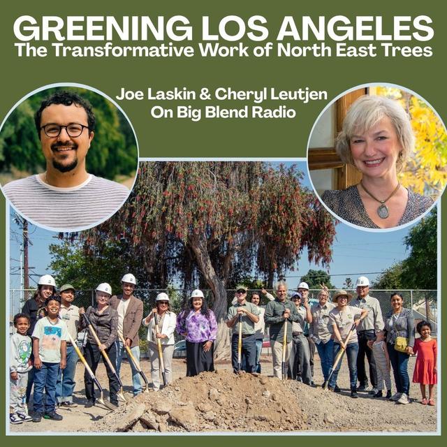 Greening Los Angeles: The Transformative Work of North East Trees - podcast episode cover