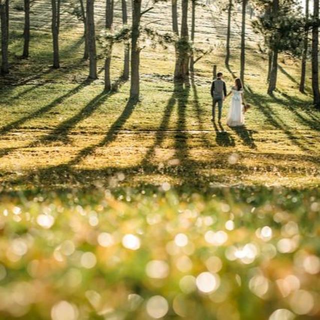 WEDDING BELLS IN THE HOLY LAND - Lighten Up! - podcast episode cover