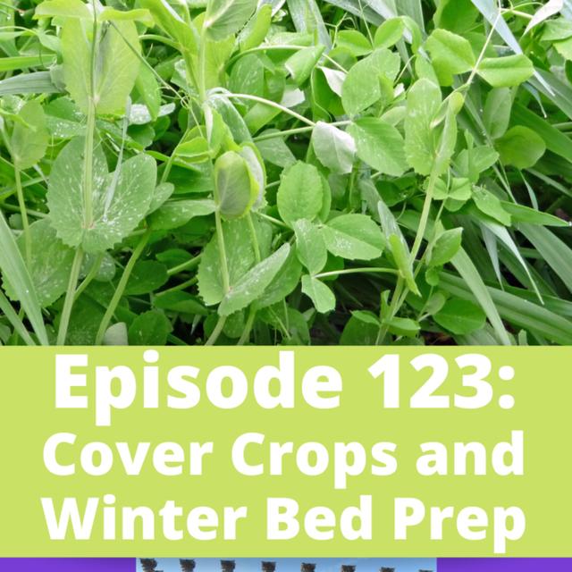 Cover Crops and Winter Bed Prep - podcast episode cover