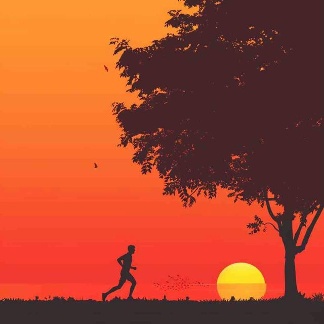 2546: How to Make Exercise a Daily Habit by Leo Babauta of Zen Habits on Habit Formation & Overall Wellness - podcast episode cover