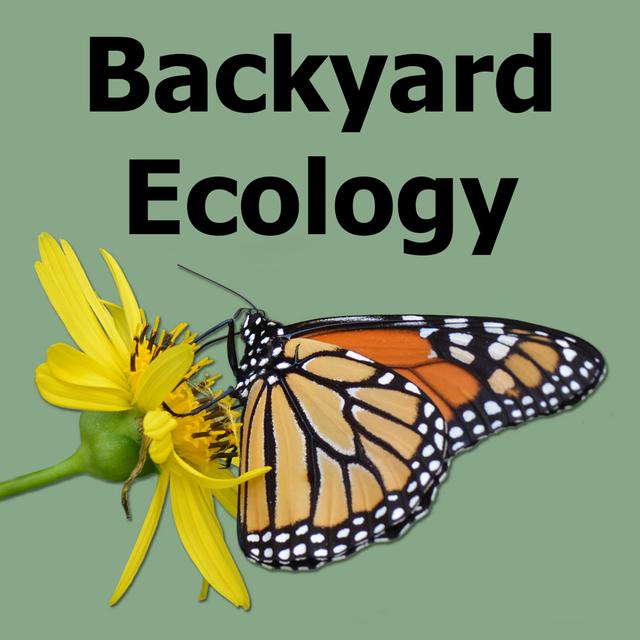 Top 10 Most Popular Backyard Ecology Episodes: Thanksgiving 2021 – Thanksgiving 2022 - podcast episode cover