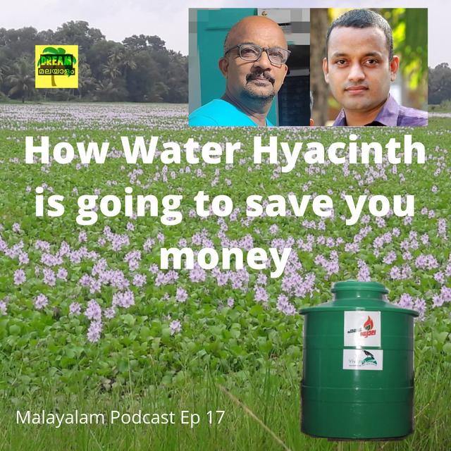 How Water Hyacinth is going to Save you Money - Kerala's Social Entrepreneurs explain - podcast episode cover
