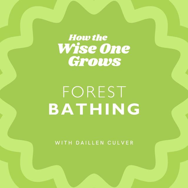 [FLASHBACK] How Forest Bathing Can Ease Your Climate Distress and Anxiety with Daillen Culver - podcast episode cover