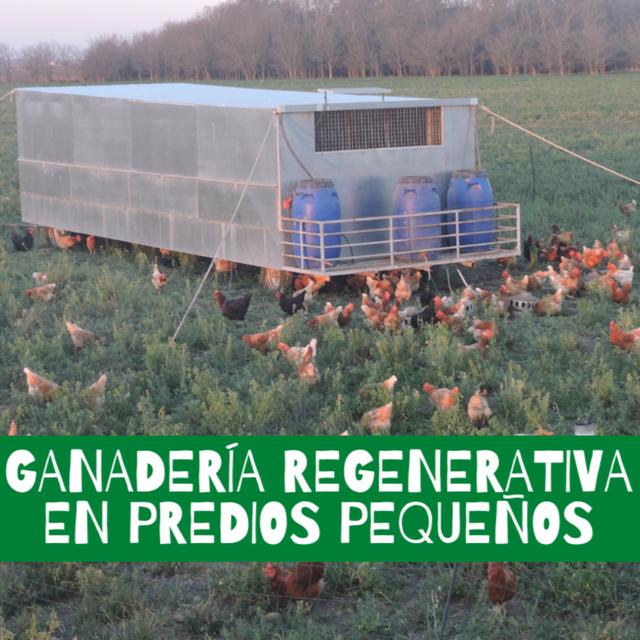 Ganadería regenerativa en Predios Pequeños, Juan Dutra y Bruno Vasquetto - podcast episode cover