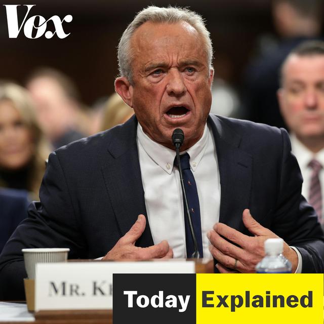How America went MAHA - podcast episode cover
