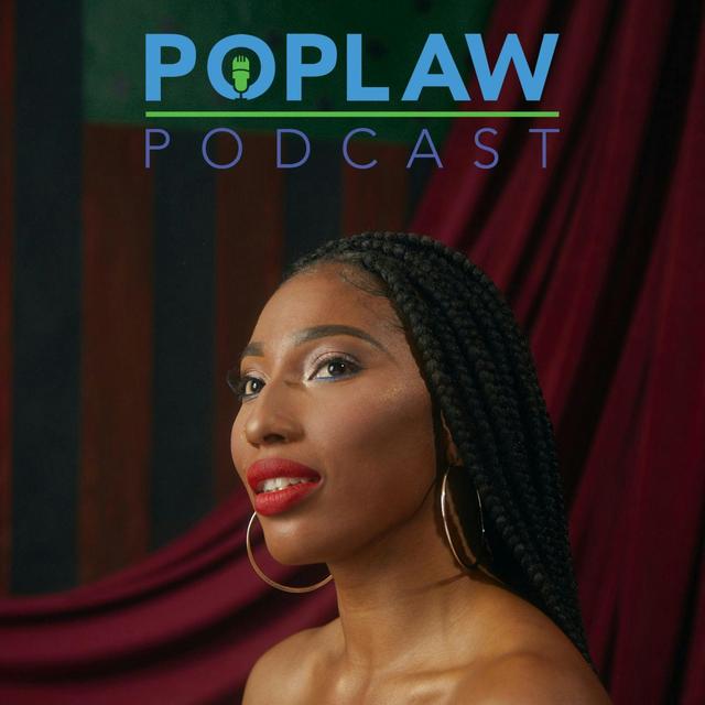 WikiLeaks and the 1st Amendment (Feat. Michael Lambert) (Ep. 80) - podcast episode cover
