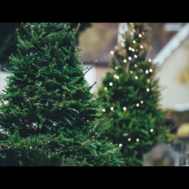 01x04: ¡Oh, verde Navidad! - podcast episode cover