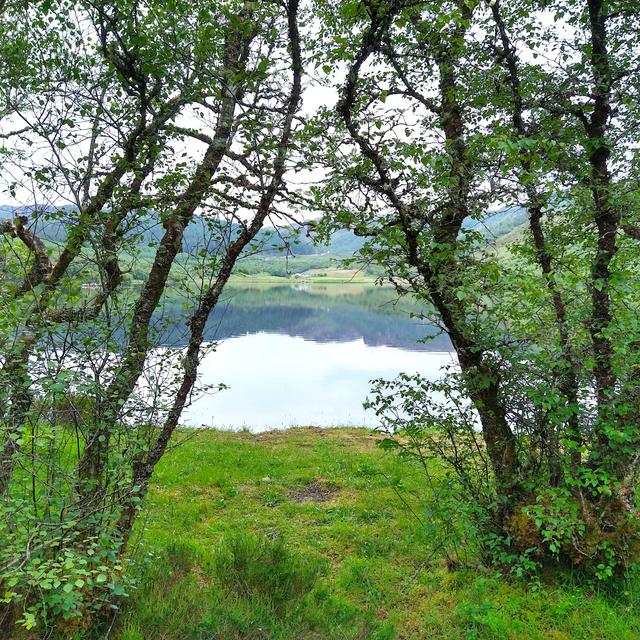 Common Sandpiper at Loch Achaidh na h-Inich, Scottish Highlands, Scotland on 11th June 2025 at 6.45am – by Steve Urquhart - podcast episode cover
