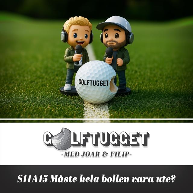 S11A15 Måste hela bollen vara ute? - podcast episode cover