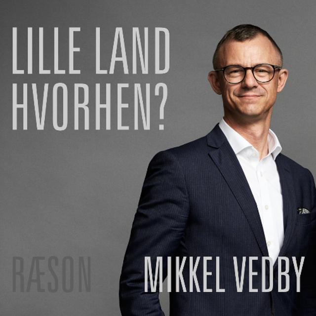 Kan AI gøre os klogere på verdens opbrud? Mikkel Vedby med Lars Christensen i Lille Land, Hvorhen - podcast episode cover