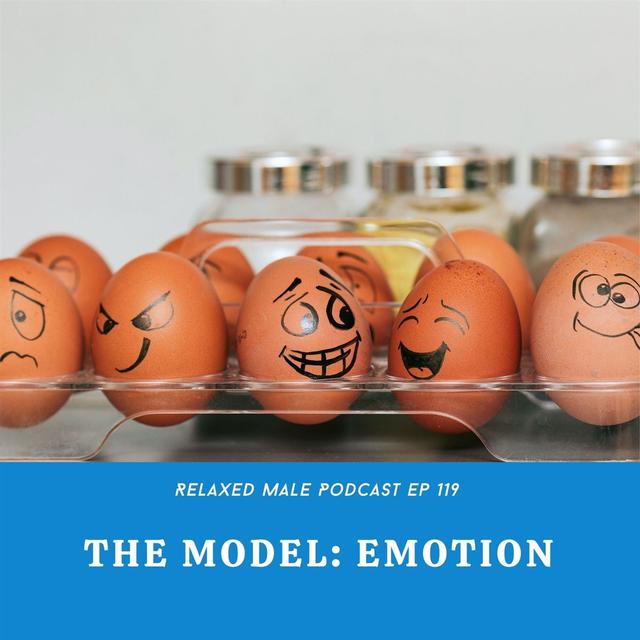 The Model: Feelings - podcast episode cover