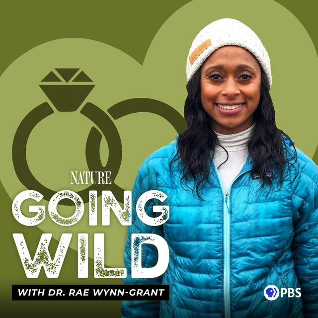 Misunderstandings with The Maasai: Part Two - podcast episode cover