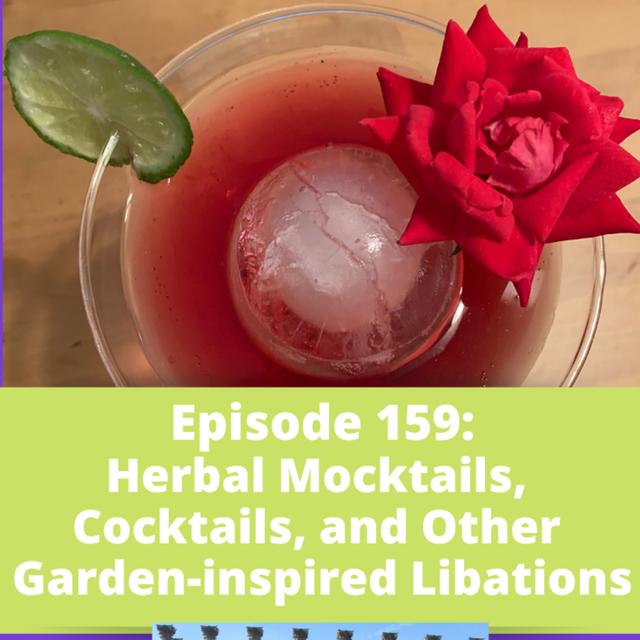 Herbal Mocktails, Cocktails, and Other Garden Libations - podcast episode cover