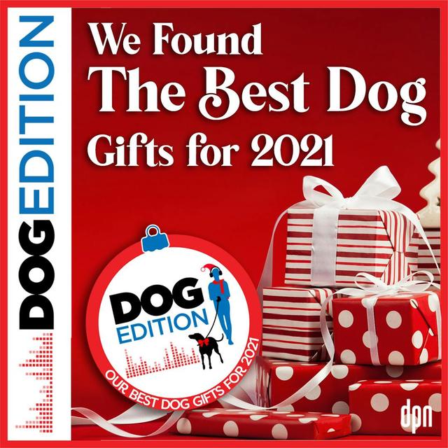 We Found the Best Dog Gifts for 2021 | Dog Edition #43 - podcast episode cover