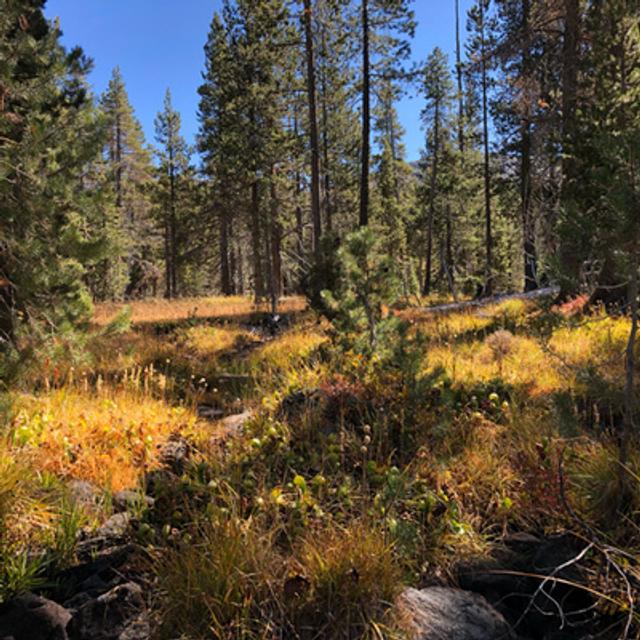 Episode 86: Autumn Day Beside Bear Creek - podcast episode cover