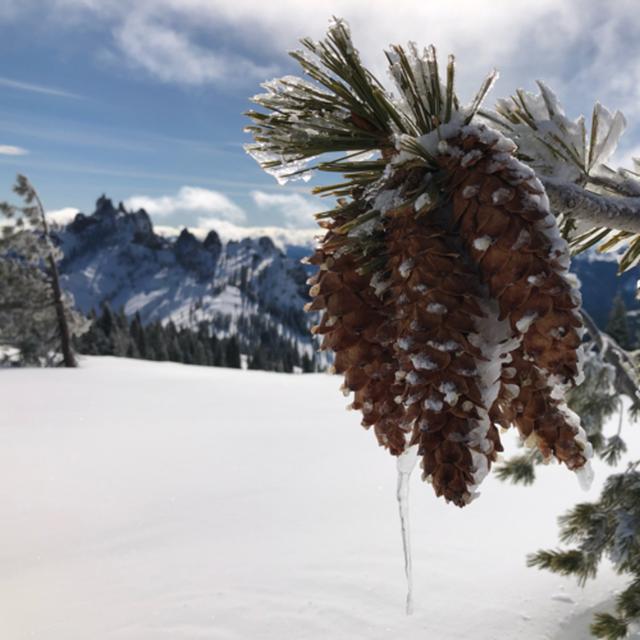 Episode 65: Castle Crags Wilderness- Snowmelt Rain - podcast episode cover