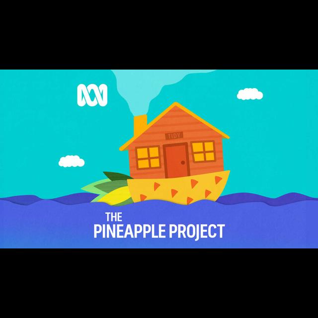 INTRODUCING - S3 00 | The Pineapple Project — Tidy - podcast episode cover