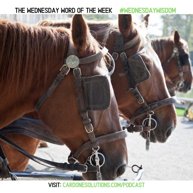 IGNORANCE: The Wednesday Word #WednesdayWisdom - podcast episode cover